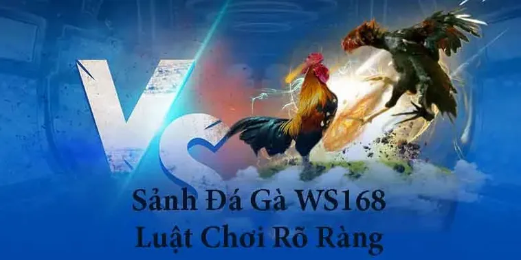 Chia Sẻ Cách Chơi Đá Gà WS168 Tại LD789 Hiệu Quả Và An Toàn Nhất 2 Chia Sẻ Cách Chơi Đá Gà WS168 Tại LD789 Hiệu Quả Và An Toàn Nhất