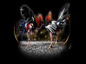 Bí Kíp Về Cách Chơi Đá Gà Sabong Tại LD789 Chi Tiết Nhất Năm Nay