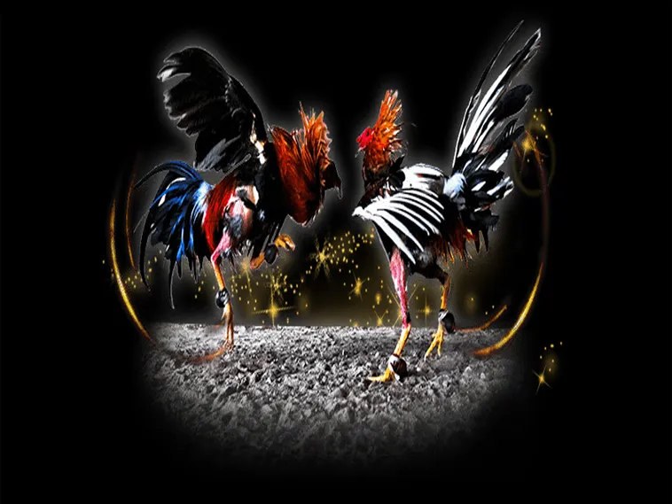 Bí Kíp Về Cách Chơi Đá Gà Sabong Tại LD789 Chi Tiết Nhất Năm Nay 1 Bí Kíp Về Cách Chơi Đá Gà Sabong Tại LD789 Chi Tiết Nhất Năm Nay