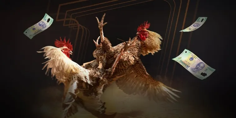 Soi Kèo Đá Gà LD789 Đỉnh Cao Giúp Bạn Thắng Lớn Hôm Nay